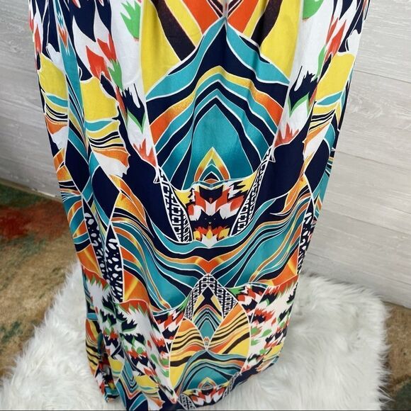 Fracescas Blue Rain Malabar Printed Maxi Dress - Picture 4 of 10